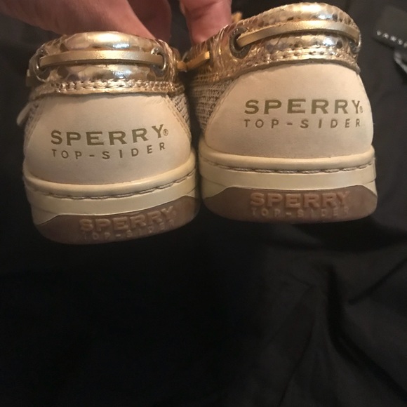 Sperry angelfish gold snake - Picture 6 of 8